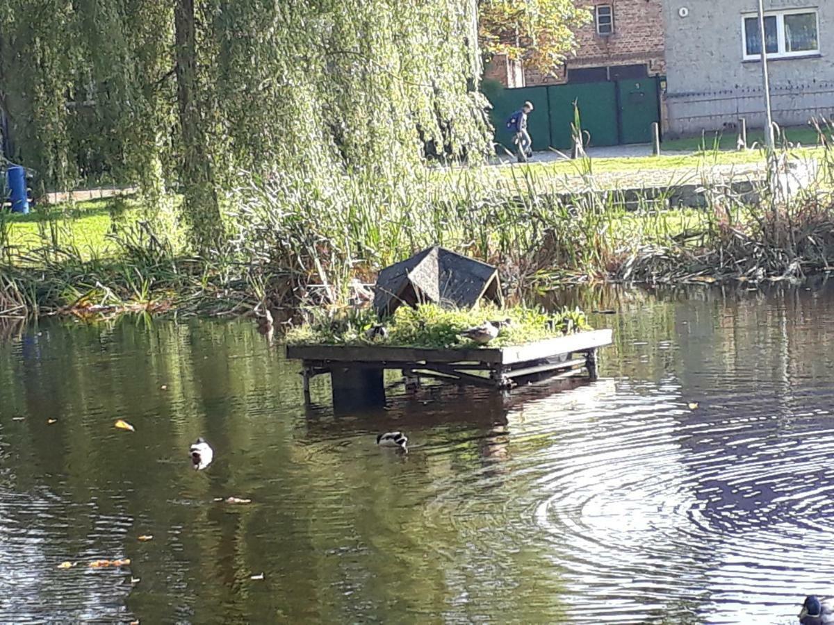 Mein Marienhof Bestensee Extérieur photo